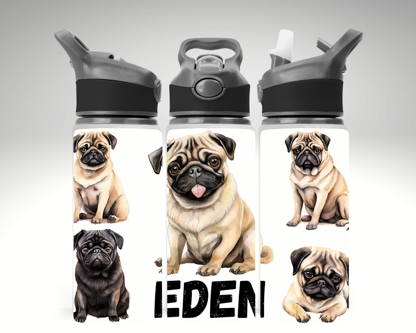Pug Dog Themed Water Bottle 650 ml