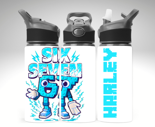 Six Seven 67 Water Bottle 650 ml
